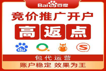 电商SEM推广案例解析